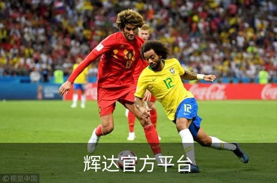 走进辉达官方平台